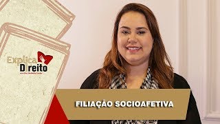 Explica Direito Filiação Socioafetiva  2019 [upl. by Sharma758]