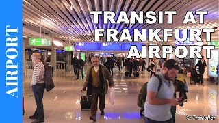 TRANSIT WALK AT FRANKFURT Airport FRA Terminal 1  Connection Flight Transfer Arriving amp Departing [upl. by Bear643]